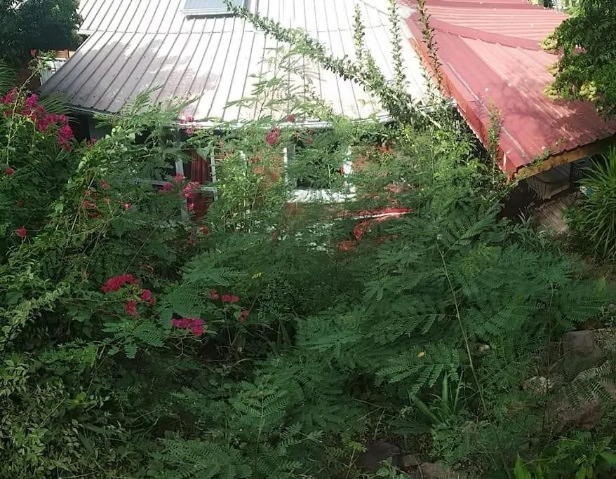 Hebergement Bouillante Petite Anse - 100M Plage Prázdninový dům