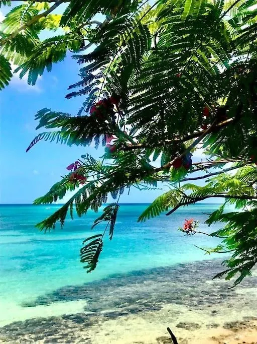 Holiday home Hebergement Bouillante Petite Anse - 100M Plage Guadeloupe