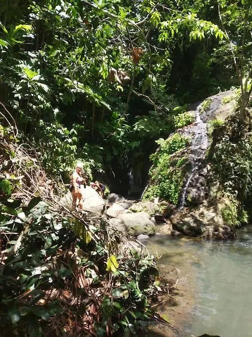 Hebergement Bouillante Petite Anse - 100M Plage Guadeloupe