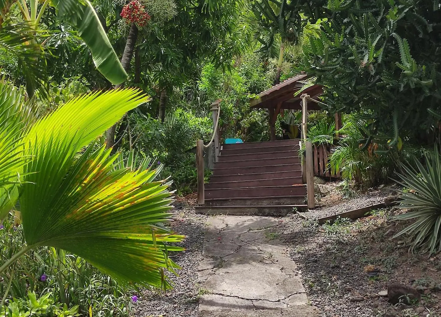 Hebergement Bouillante Petite Anse - 100M Plage Guadeloupe